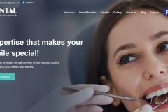 In Dental – Website & Digital Marketing Solution